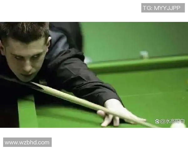 罗伯逊与塞尔比精彩对决视频回顾乒乓球赛场的巅峰对决不容错过